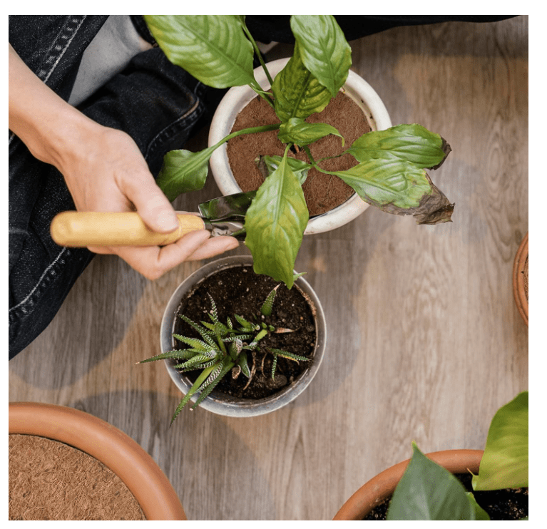 Palm Naki Coco Coir Plant Protector Mat - No Promo Code Needed!