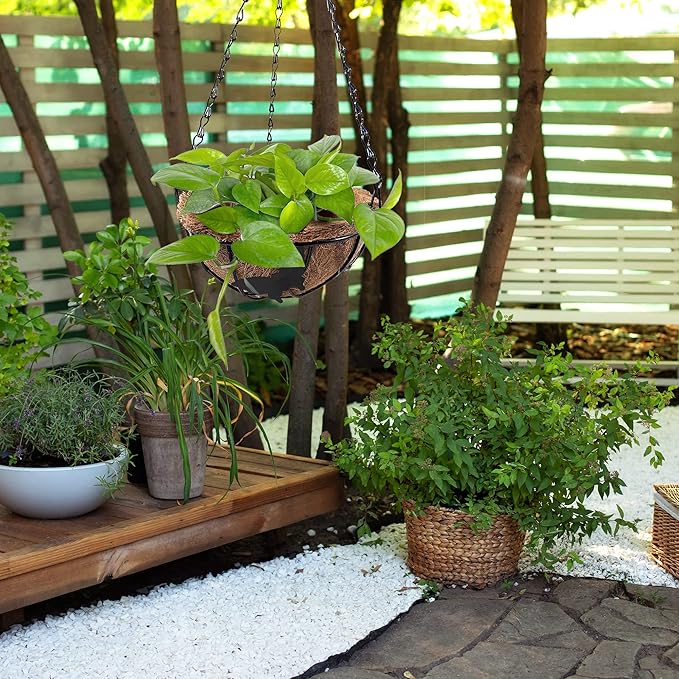 Palm Naki Coconut Coir Butterfly Hanging Planters - No Promo Code Needed!