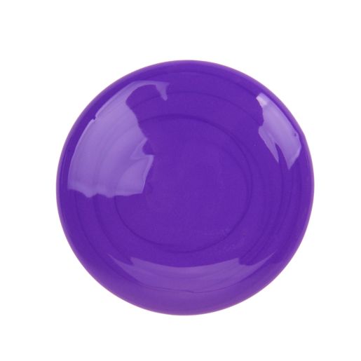 Crayola Washable Paint – Used Like New - Null