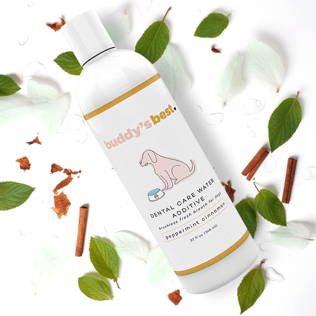 Buddy's Best Dog Breath Freshener Water Additive 32 oz Pack of 1 Peppermint Cinnamon 840320600081 No Promo Code Needed!