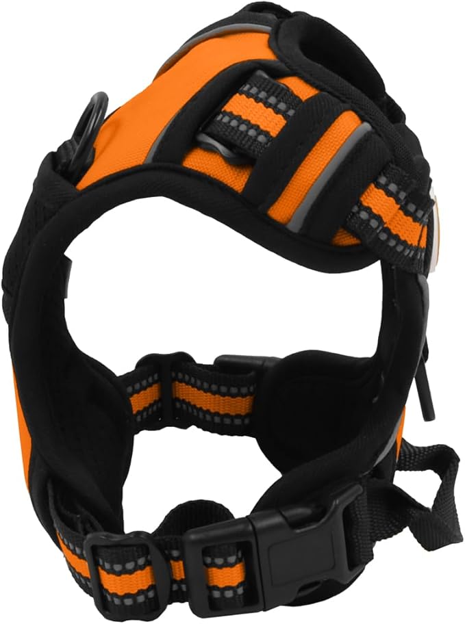 Buddy's Best Dog Harness - No Promo Code Needed!