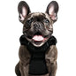 Buddy's Best Dog Harness - No Promo Code Needed!