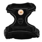 Buddy's Best Dog Harness - No Promo Code Needed!