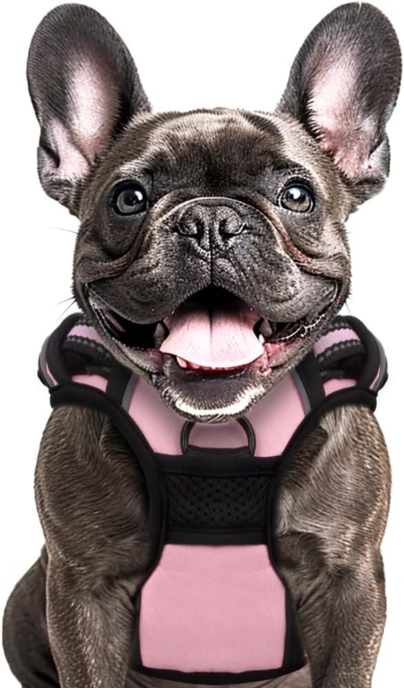 Buddy's Best Dog Harness - No Promo Code Needed!