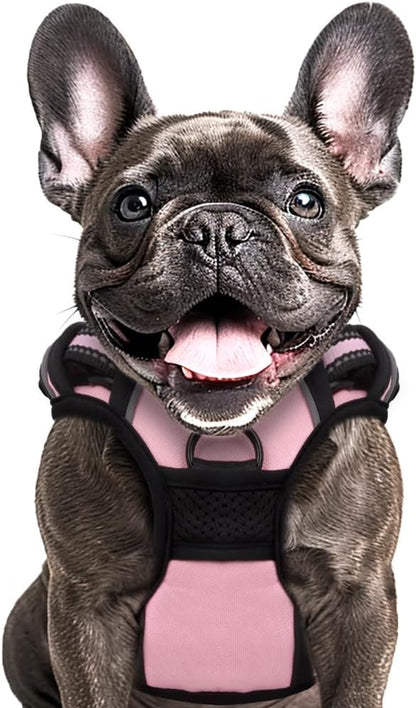 Buddy's Best Dog Harness - No Promo Code Needed!