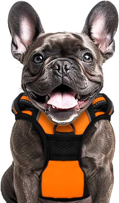 Buddy's Best Dog Harness - No Promo Code Needed!