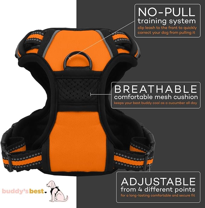 Buddy's Best Dog Harness - No Promo Code Needed!