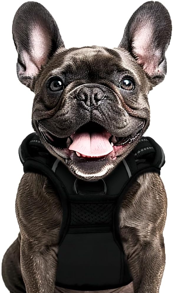 Buddy's Best Dog Harness - No Promo Code Needed!