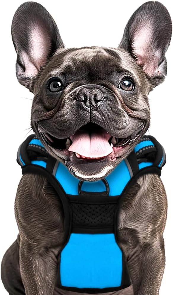 Buddy's Best Dog Harness - No Promo Code Needed!