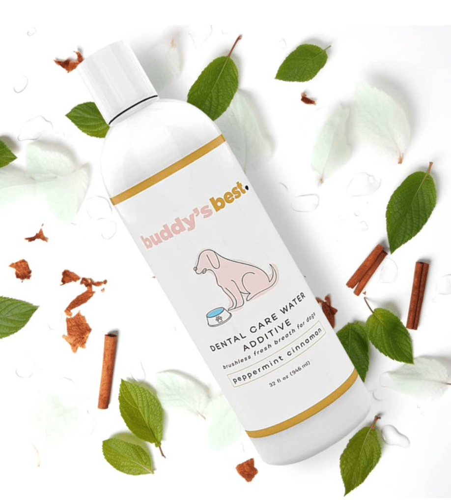 Buddy's Best Water Additive Peppermint Cinnamon 1 Piece 1 Gallon 808218768107 No Promo Code Needed!