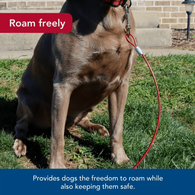 Coastal Pet Titan Heavy Cable Dog Tie Out - No Promo Code Needed!