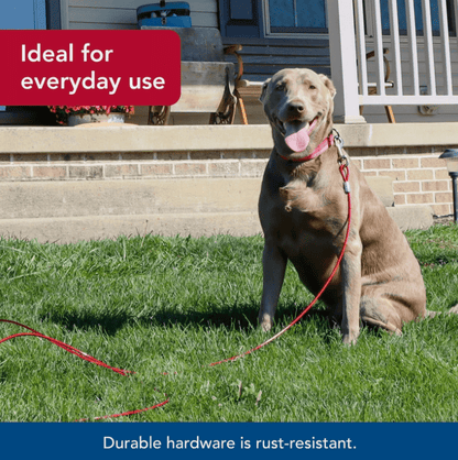 Coastal Pet Titan Heavy Cable Dog Tie Out - No Promo Code Needed!