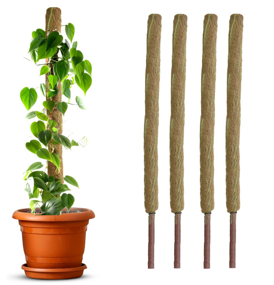 Palm Naki Coconut Coir Totem Pole Plant Support - Null