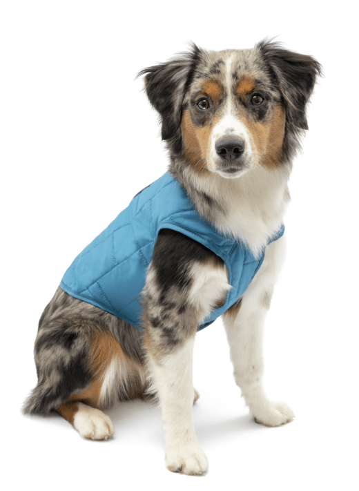 Kurgo Loft Jacket Reversible Dog Coat - No Promo Code Needed!
