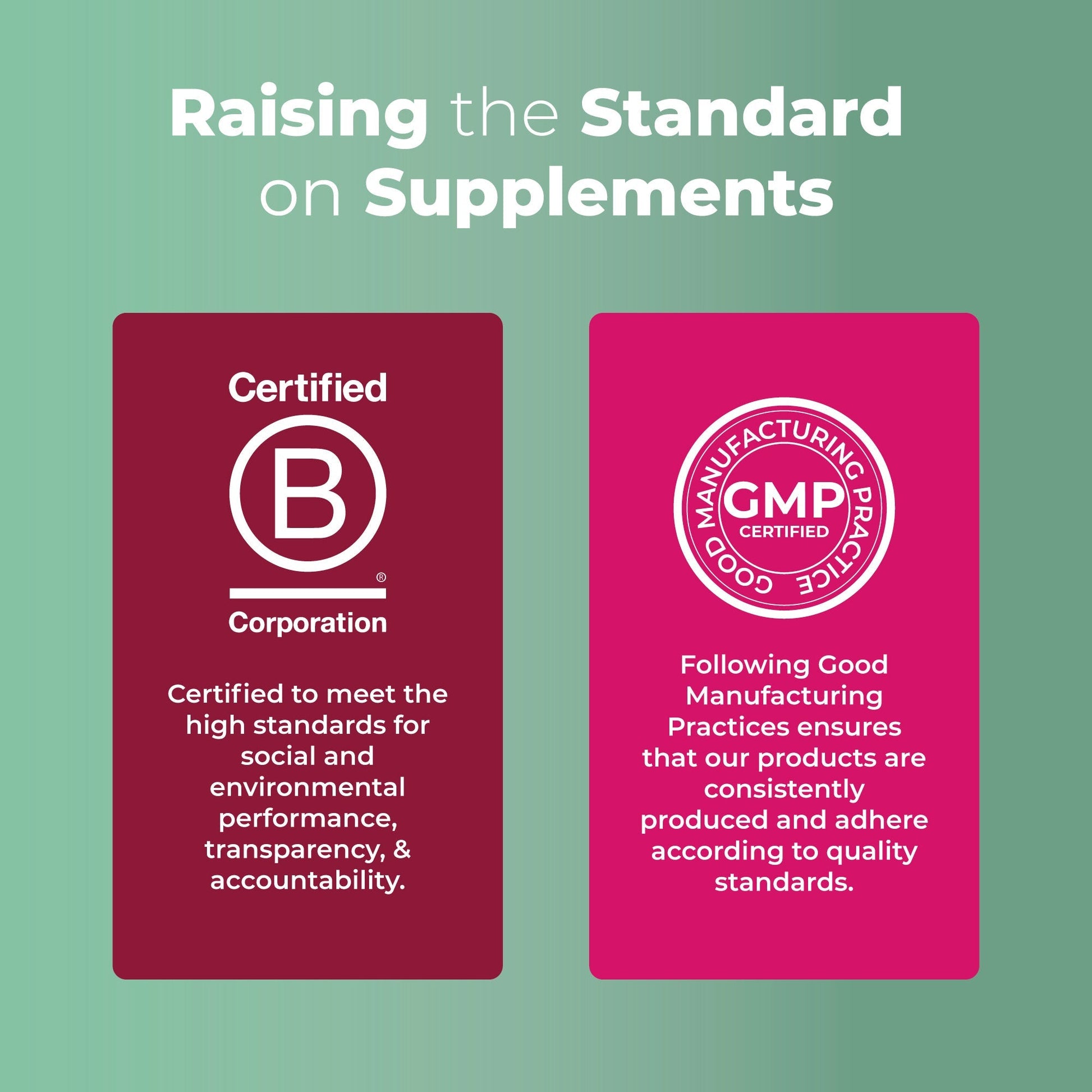 MaryRuth's Multivitamin Gummies - No Promo Code Needed!