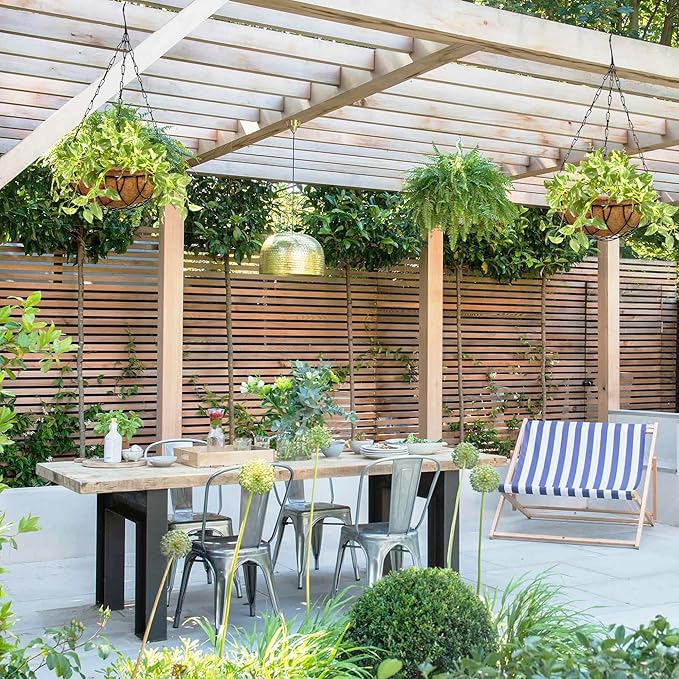 Palm Naki Coco Coir Hanging Planter Liners - No Promo Code Needed!