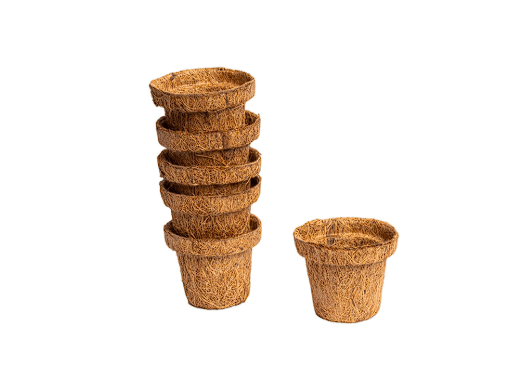 Palm Naki Coco Seedling Cup - No Promo Code Needed!