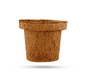 Palm Naki Coco Seedling Cup - No Promo Code Needed!