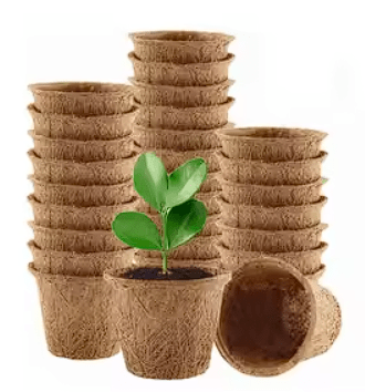 Palm Naki Coco Seedling Cup - No Promo Code Needed!