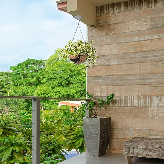 Palm Naki Coconut Coir Butterfly Hanging Planters - No Promo Code Needed!