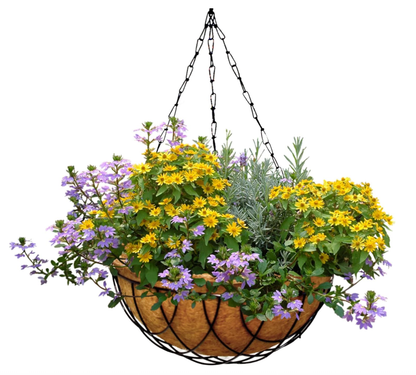 Palm Naki Coconut Coir Hanging Metal Planters - No Promo Code Needed!