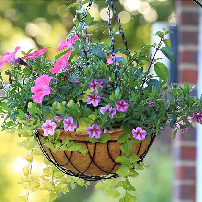 Palm Naki Coconut Coir Hanging Metal Planters - No Promo Code Needed!