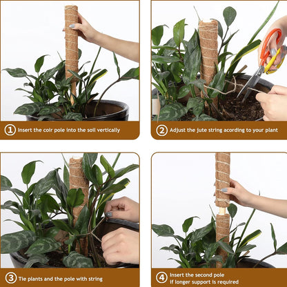 Palm Naki Coir Totem Pole - Support - No Promo Code Needed!