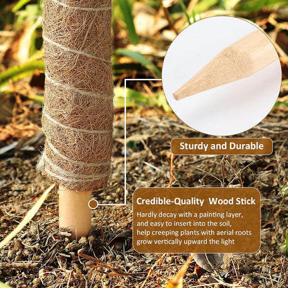 Palm Naki Coir Totem Pole - Support - No Promo Code Needed!