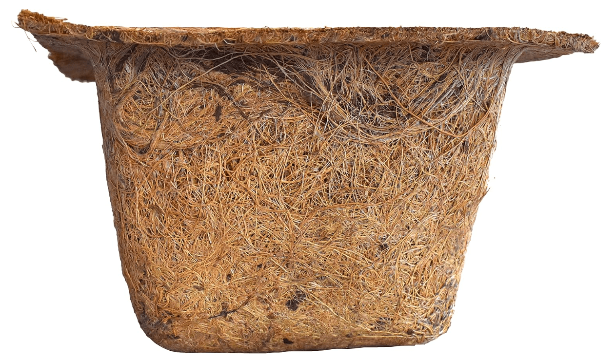 Palm Naki Garden Pot Spanish - No Promo Code Needed!