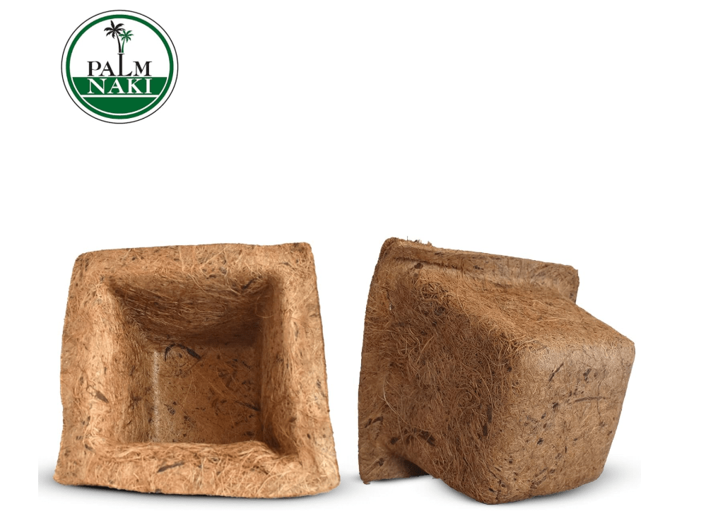 Palm Naki Garden Pot Spanish - No Promo Code Needed!