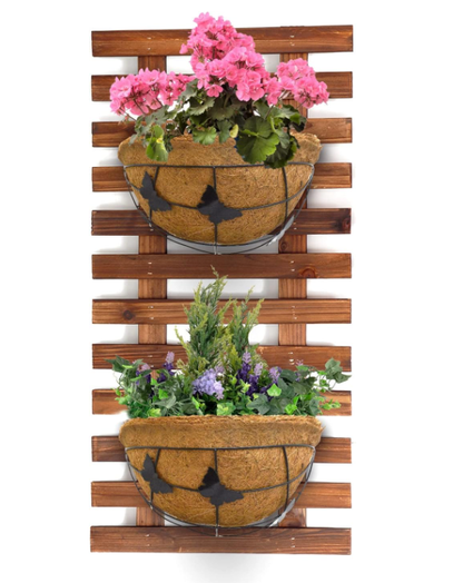 Palm Naki Metal Hanging Planter - No Promo Code Needed!