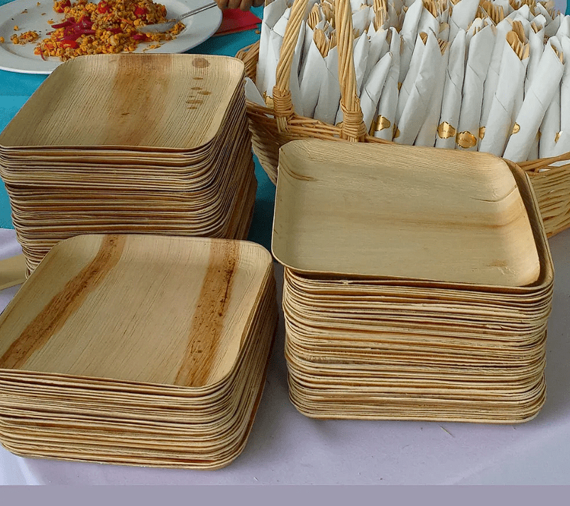 Palm Naki Square Palm Leaf Plates - No Promo Code Needed!