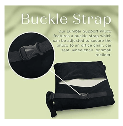 PL Trickonometry Lumbar Support Pillow - No Promo Code Needed!