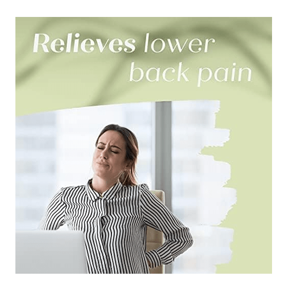 PL Trickonometry Lumbar Support Pillow - No Promo Code Needed!