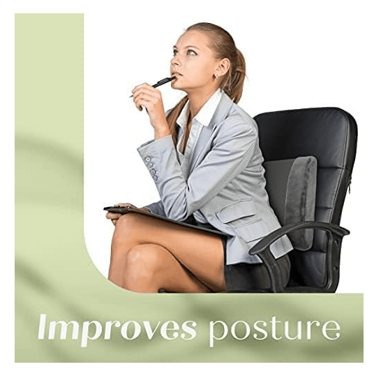 PL Trickonometry Lumbar Support Pillow - No Promo Code Needed!