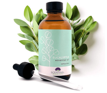 Scentinal Scentinal Premium Essential Oil - No Promo Code Needed!