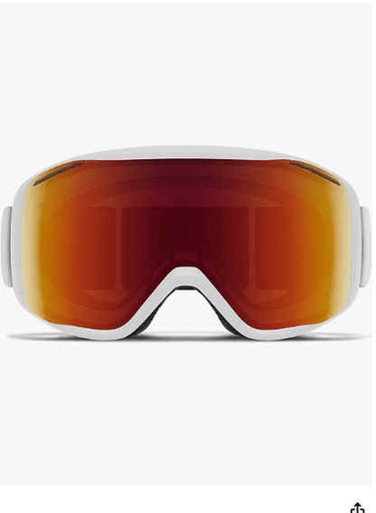 Smith Optics Unisex Rally Snow Goggle - No Promo Code Needed!