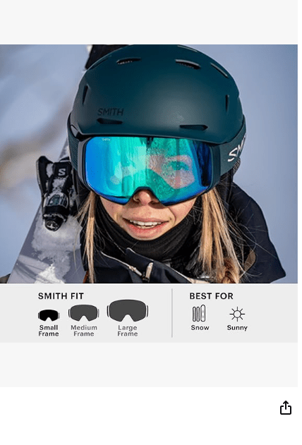 Smith Optics Unisex Rally Snow Goggle - No Promo Code Needed!