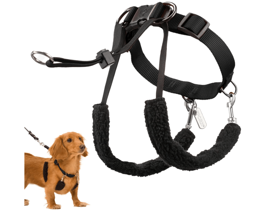 Sporn Dog Halter - No Promo Code Needed!