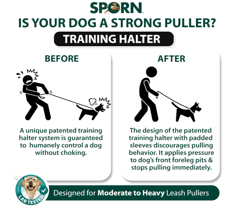 Sporn Dog Halter - No Promo Code Needed!