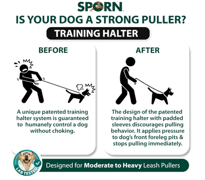 Sporn Dog Halter - No Promo Code Needed!