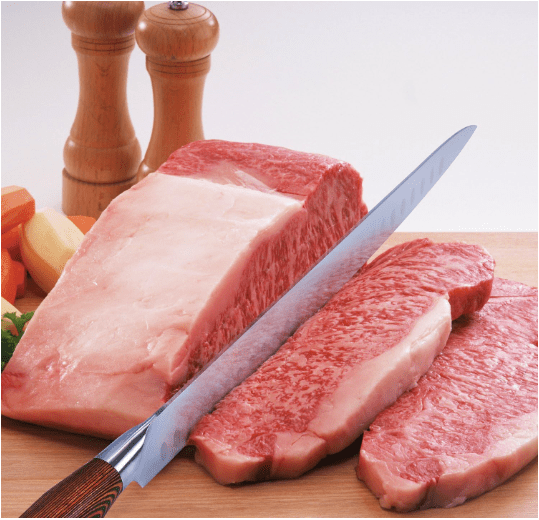 TUO Fiery 12 inch Slicing Knife - No Promo Code Needed!