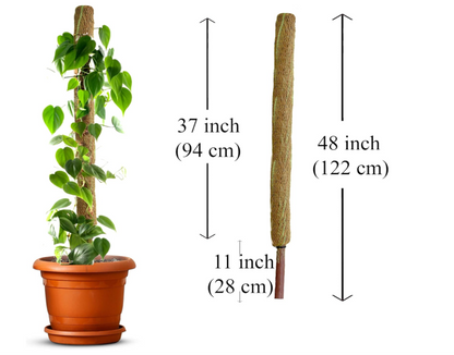 Palm Naki Coconut Coir Totem Pole Plant Support - Null